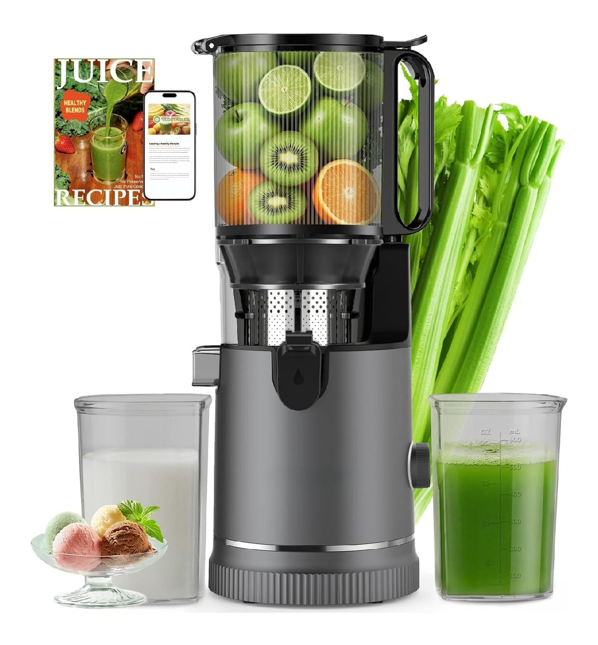 Extracteurs de jus a vis simple gris